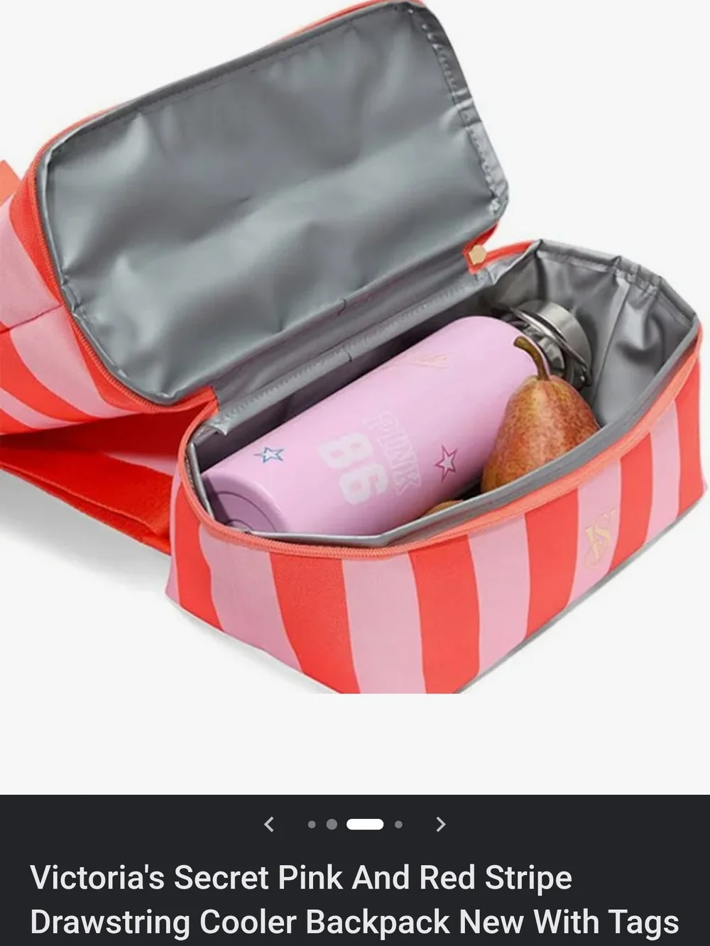Victoria's Secret Pink & Coral Striped Drawstring Backpack & Lunch Bag (D-1)